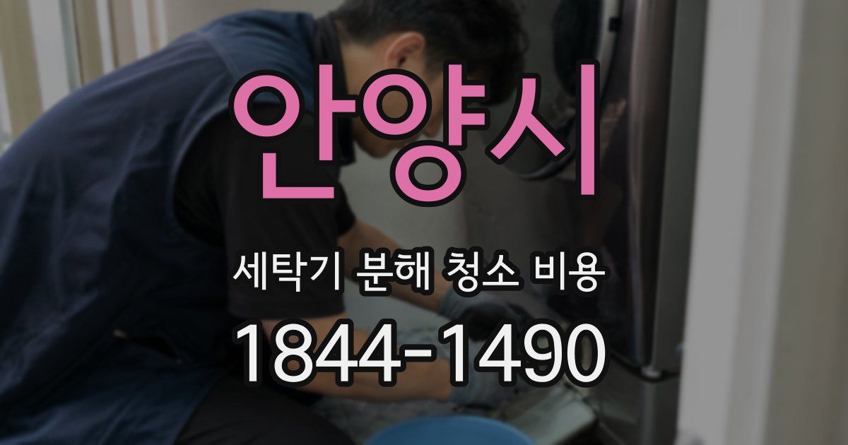 안양시 세탁기 분해 청소 비용