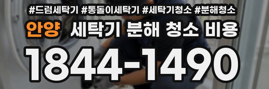 안양 세탁기 분해 청소 비용