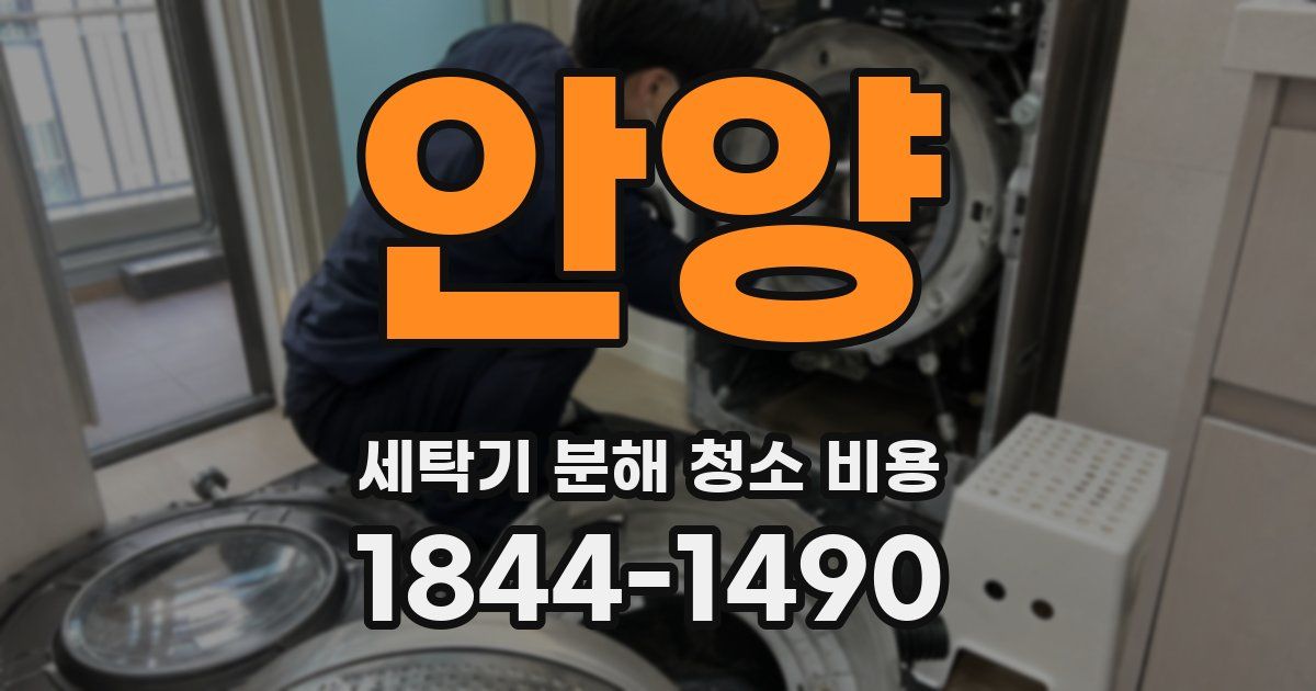 안양 세탁기 분해 청소 비용