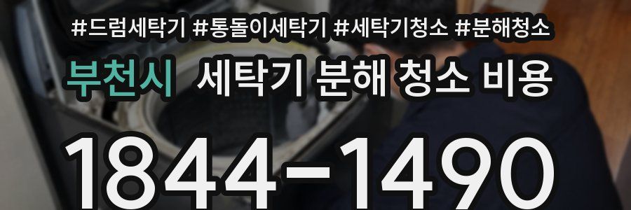 부천시 세탁기 분해 청소 비용