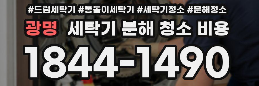 광명 세탁기 분해 청소 비용