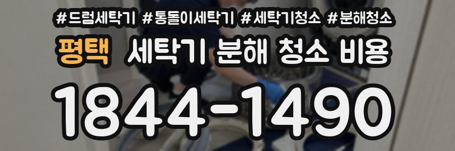 평택 세탁기 분해 청소 비용