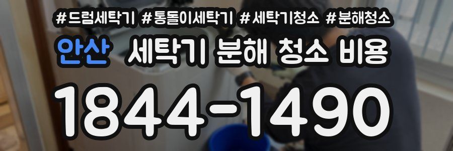 안산 세탁기 분해 청소 비용