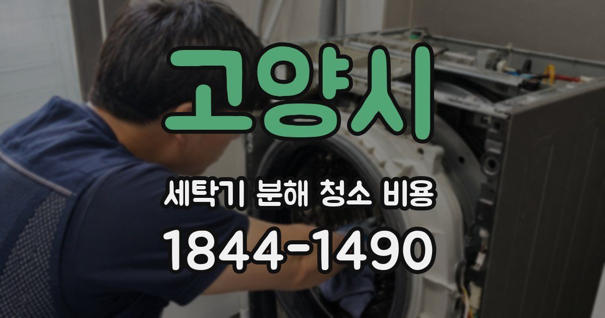 고양시 세탁기 분해 청소 비용