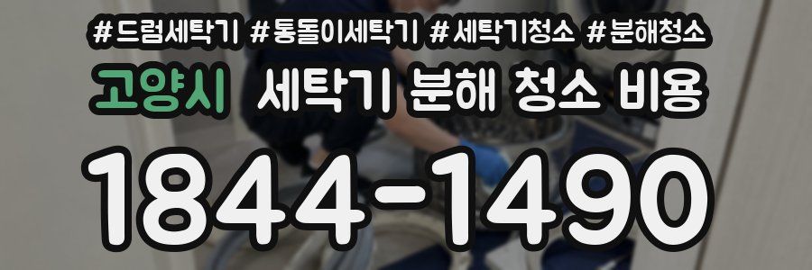 고양시 세탁기 분해 청소 비용