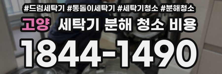 고양 세탁기 분해 청소 비용