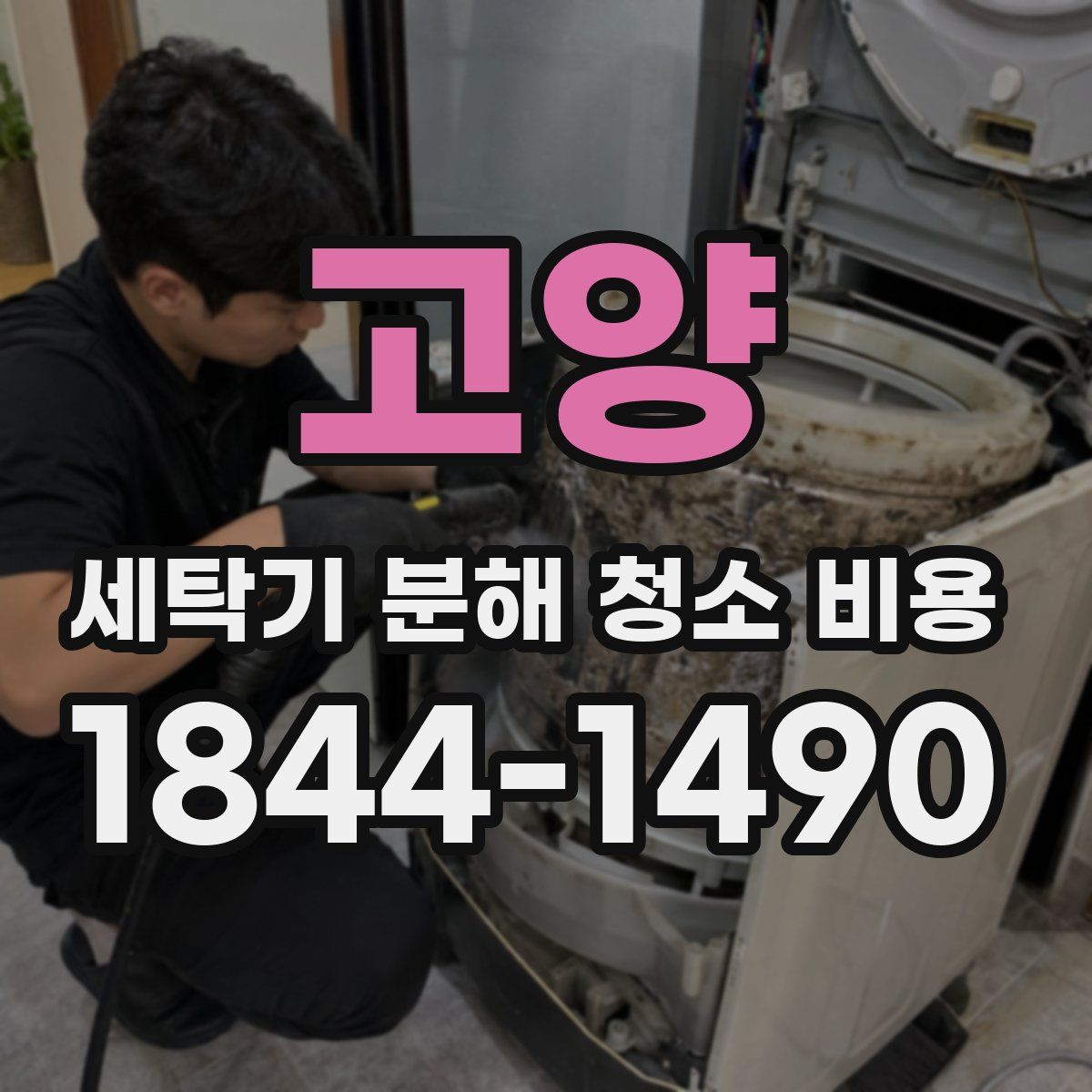 고양 세탁기 분해 청소 비용