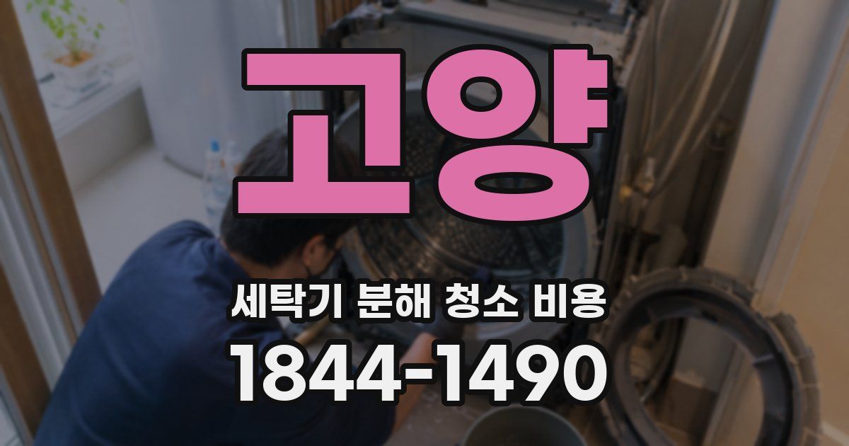 고양 세탁기 분해 청소 비용