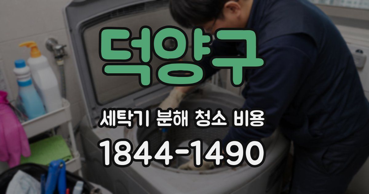 덕양구 세탁기 분해 청소 비용