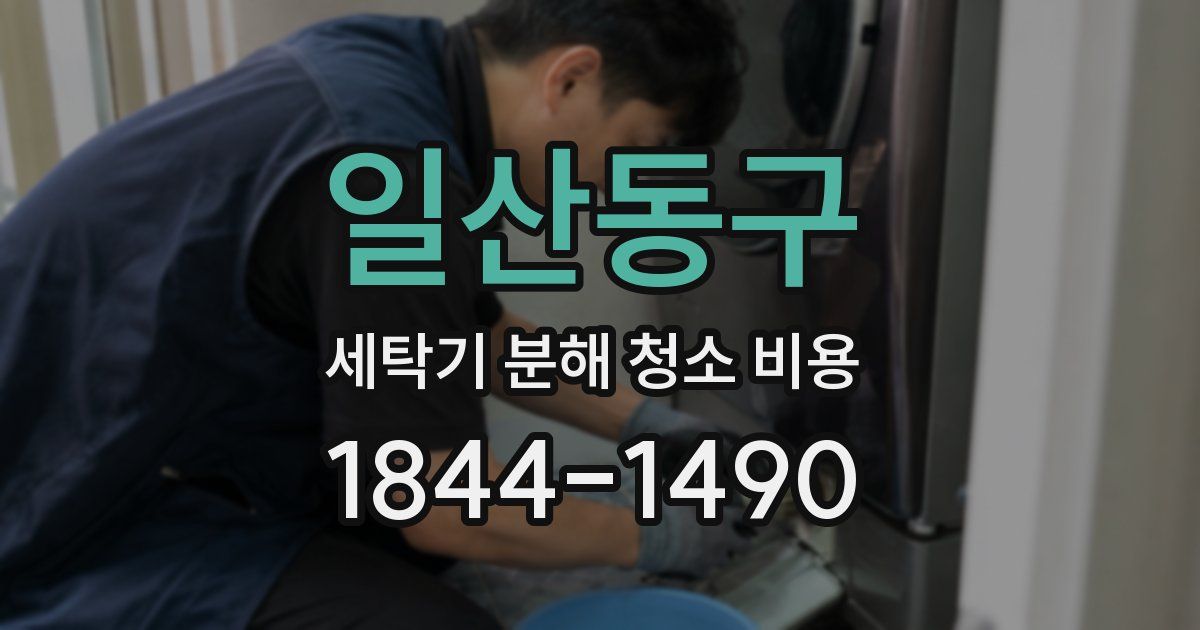 일산동구 세탁기 분해 청소 비용