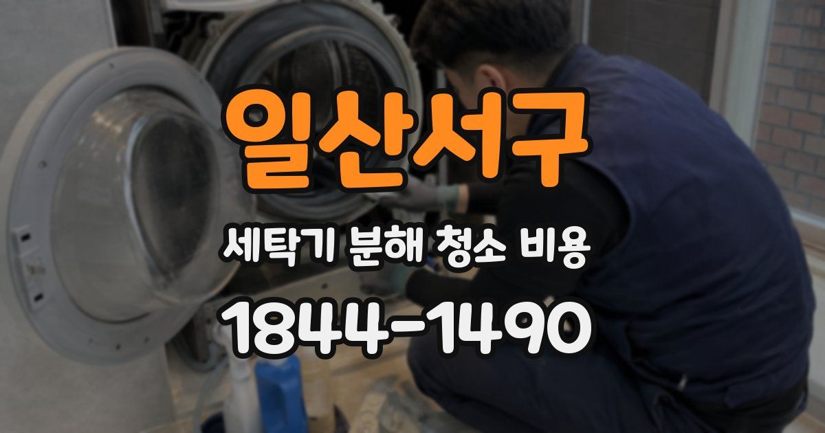 일산서구 세탁기 분해 청소 비용