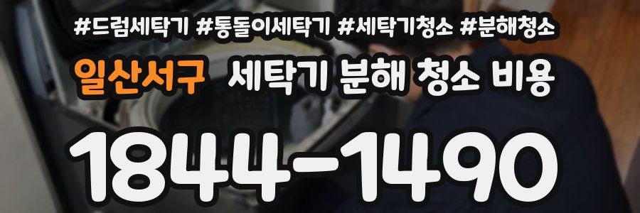 일산서구 세탁기 분해 청소 비용