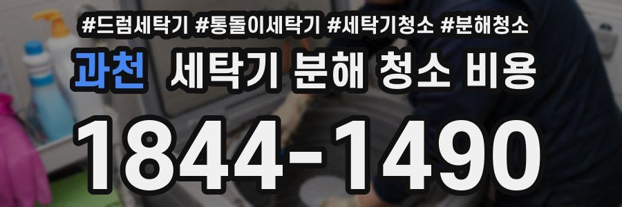 과천 세탁기 분해 청소 비용