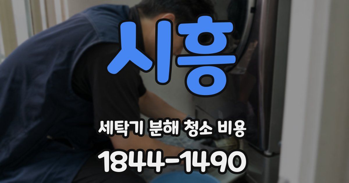 시흥 세탁기 분해 청소 비용