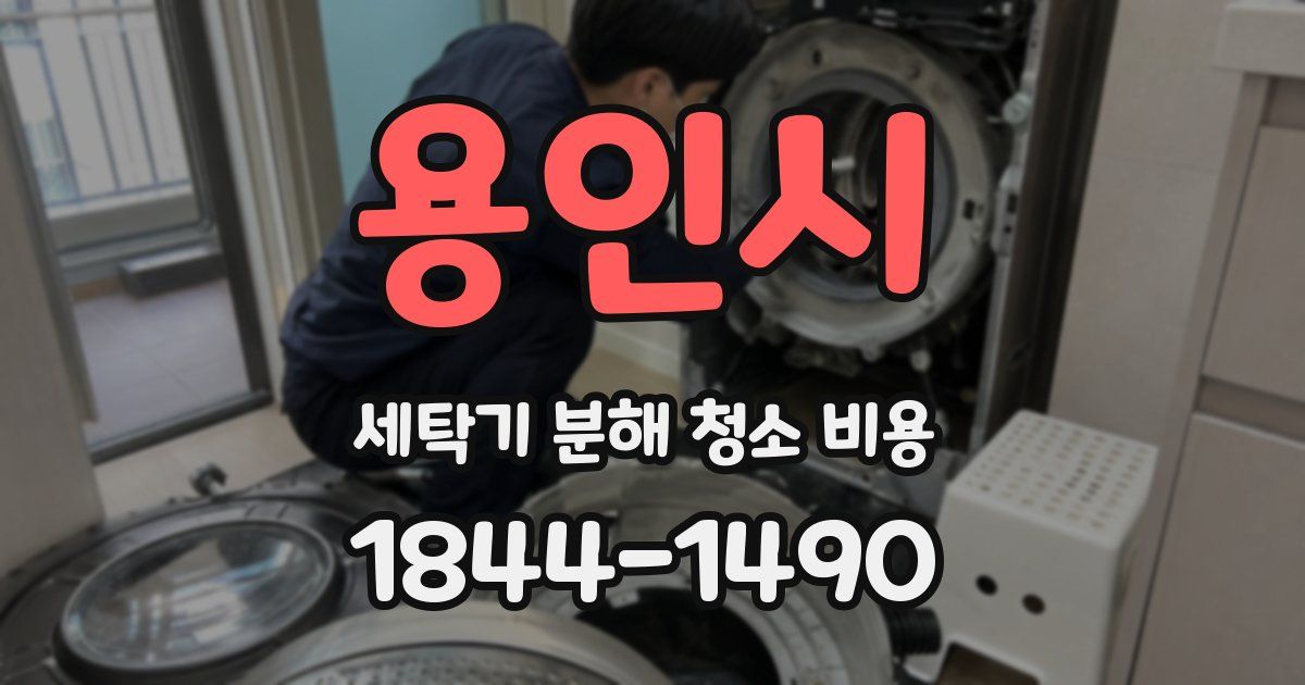 용인시 세탁기 분해 청소 비용