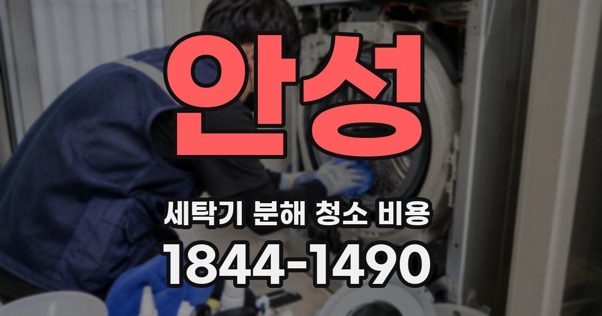 안성 세탁기 분해 청소 비용