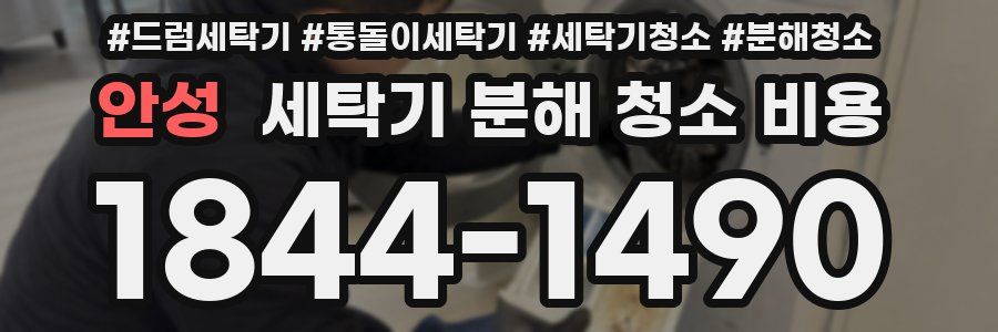 안성 세탁기 분해 청소 비용