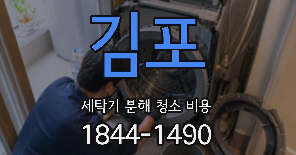 김포 세탁기 분해 청소 비용