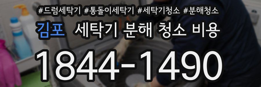 김포 세탁기 분해 청소 비용