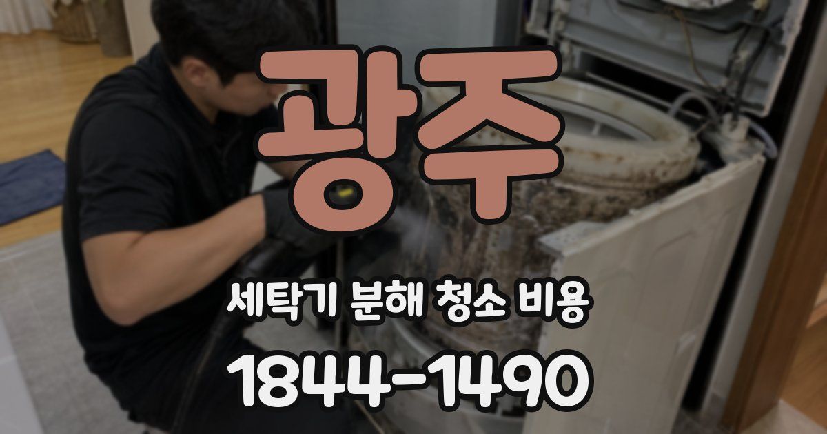 광주 세탁기 분해 청소 비용