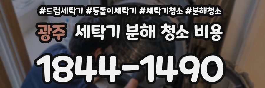 광주 세탁기 분해 청소 비용