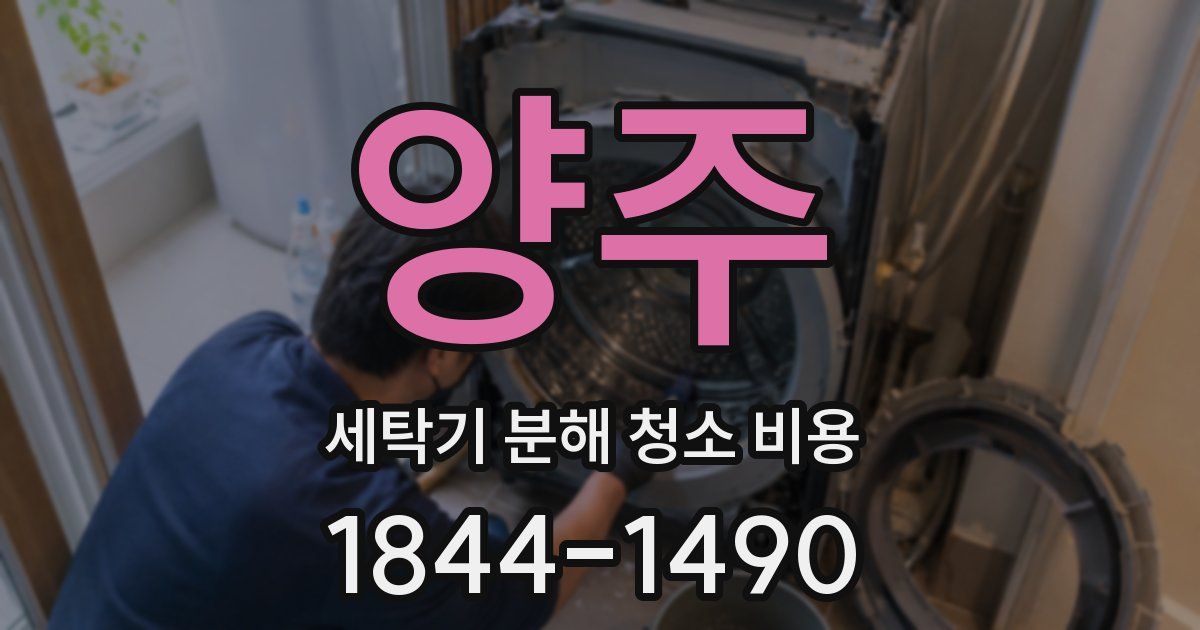 양주 세탁기 분해 청소 비용
