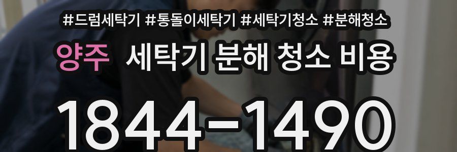 양주 세탁기 분해 청소 비용