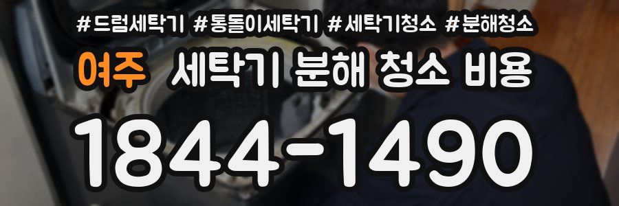 여주 세탁기 분해 청소 비용