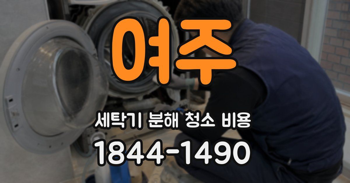 여주 세탁기 분해 청소 비용
