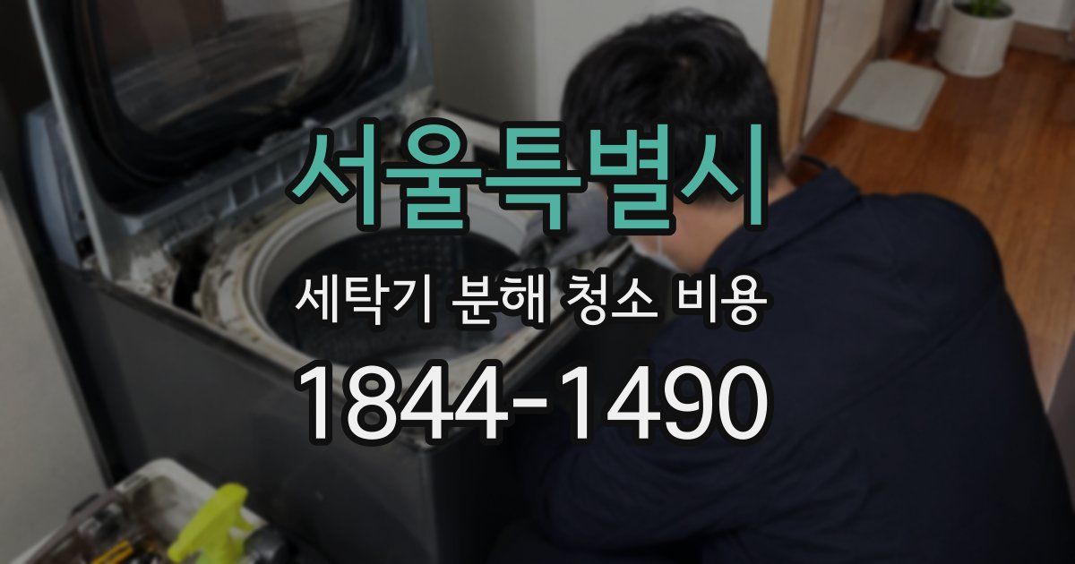 서울특별시 세탁기 분해 청소 비용