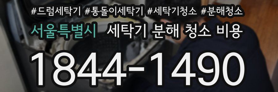 서울특별시 세탁기 분해 청소 비용