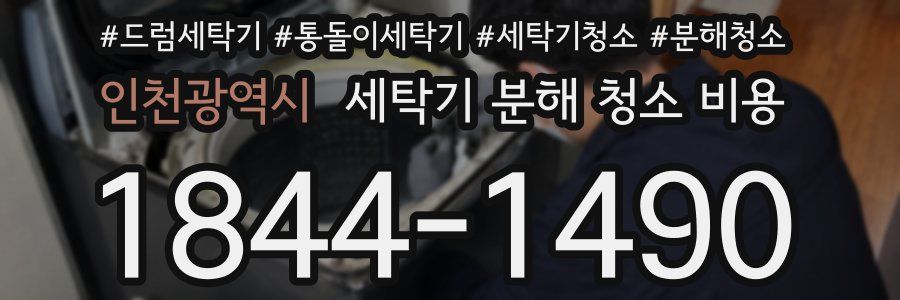 인천광역시 세탁기 분해 청소 비용