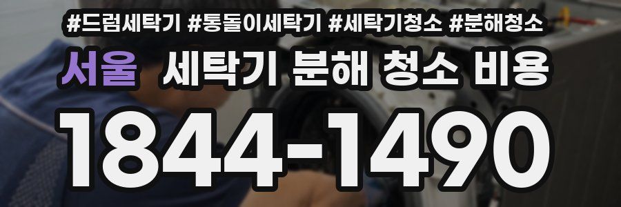 서울 세탁기 분해 청소 비용