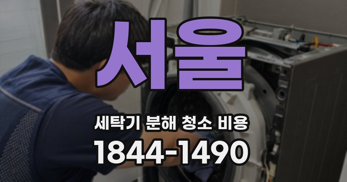 서울 세탁기 분해 청소 비용
