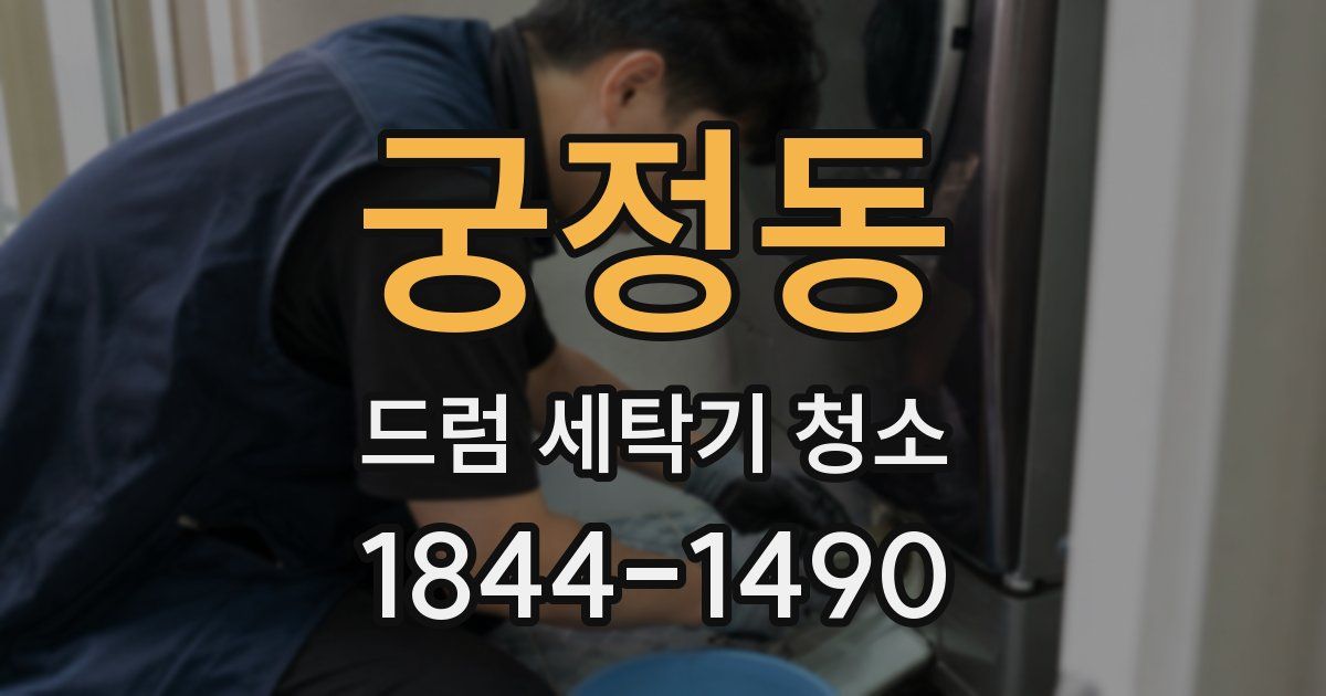 궁정동 드럼 세탁기 청소