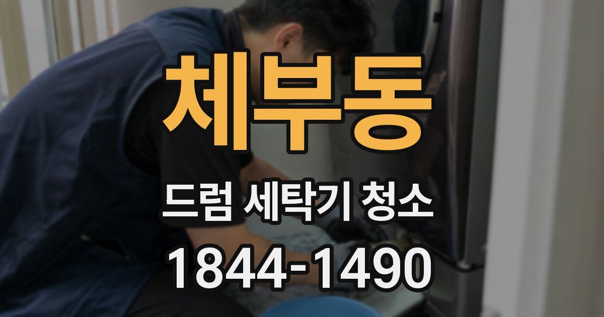 체부동 드럼 세탁기 청소