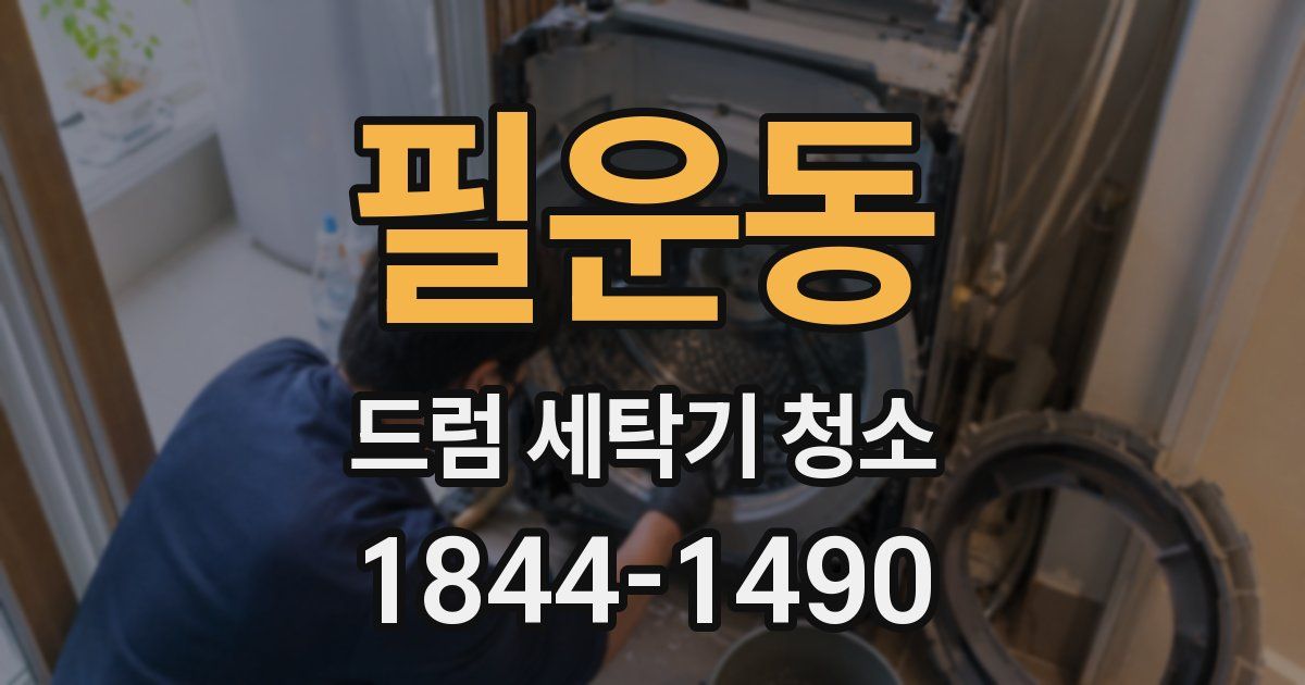 필운동 드럼 세탁기 청소
