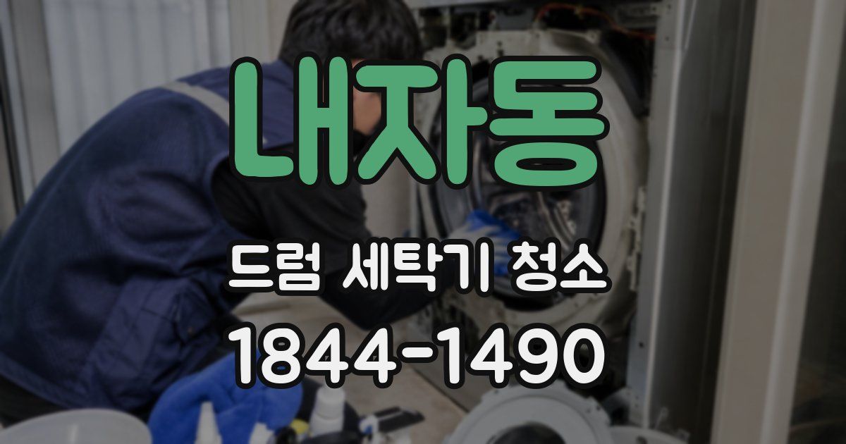 내자동 드럼 세탁기 청소