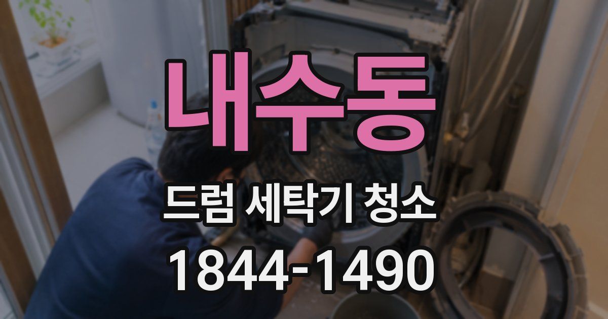내수동 드럼 세탁기 청소