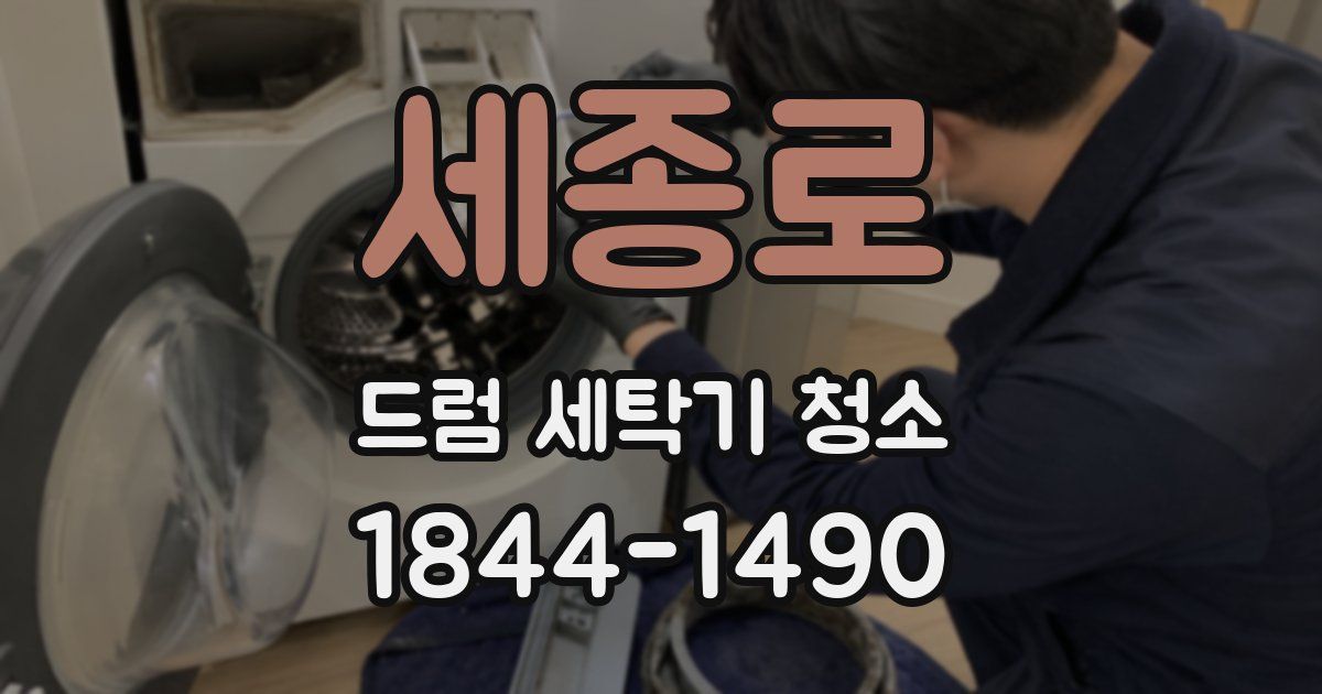 세종로 드럼 세탁기 청소