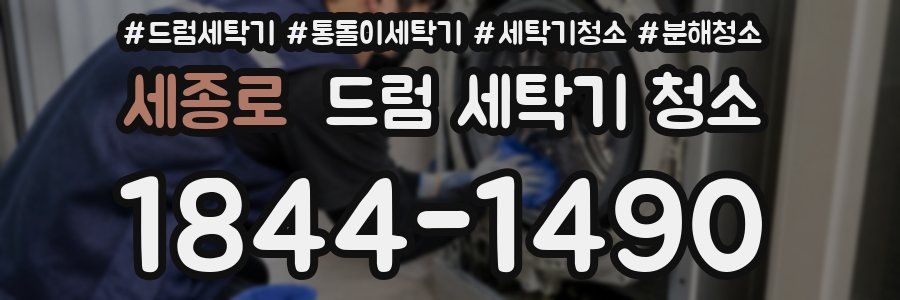 세종로 드럼 세탁기 청소