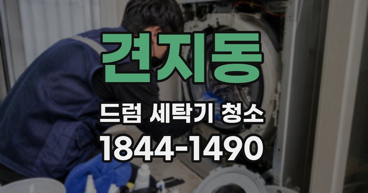 견지동 드럼 세탁기 청소