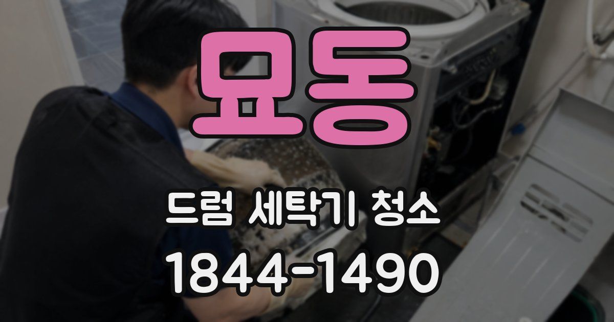 묘동 드럼 세탁기 청소