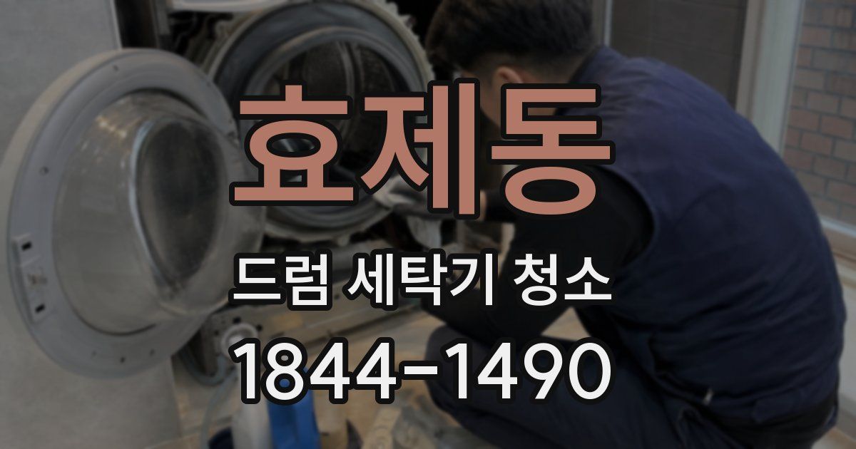효제동 드럼 세탁기 청소
