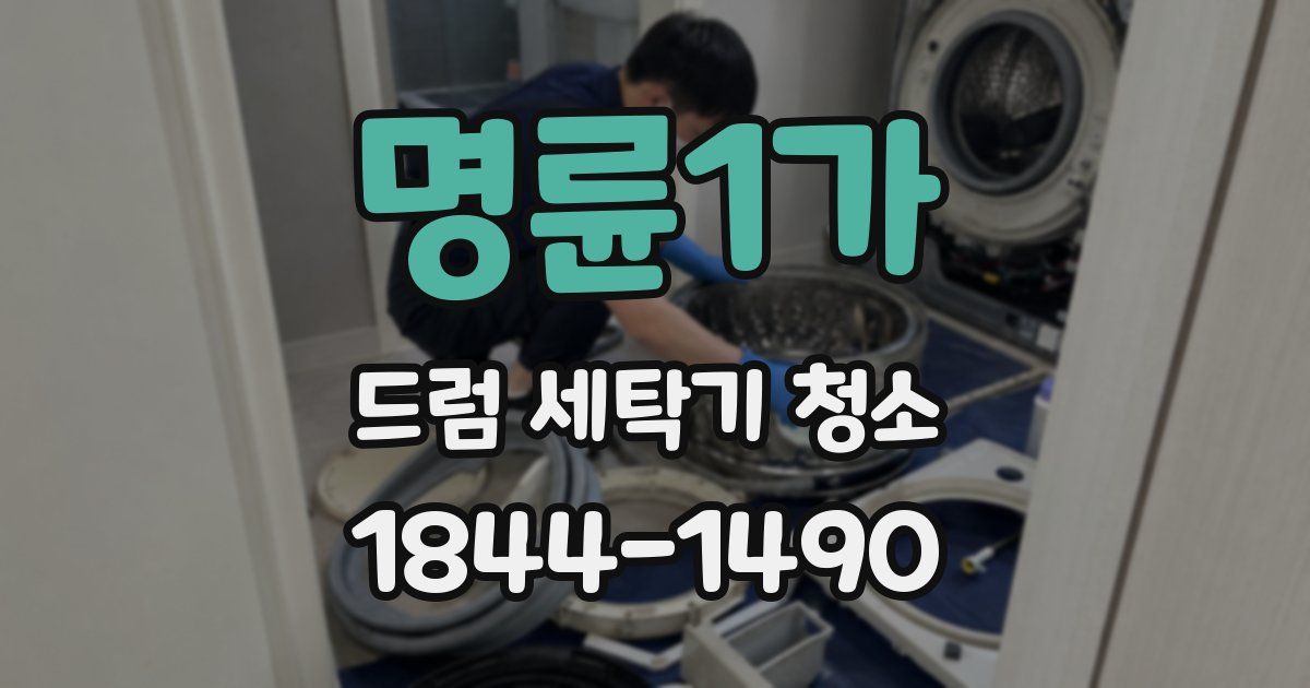 명륜1가 드럼 세탁기 청소