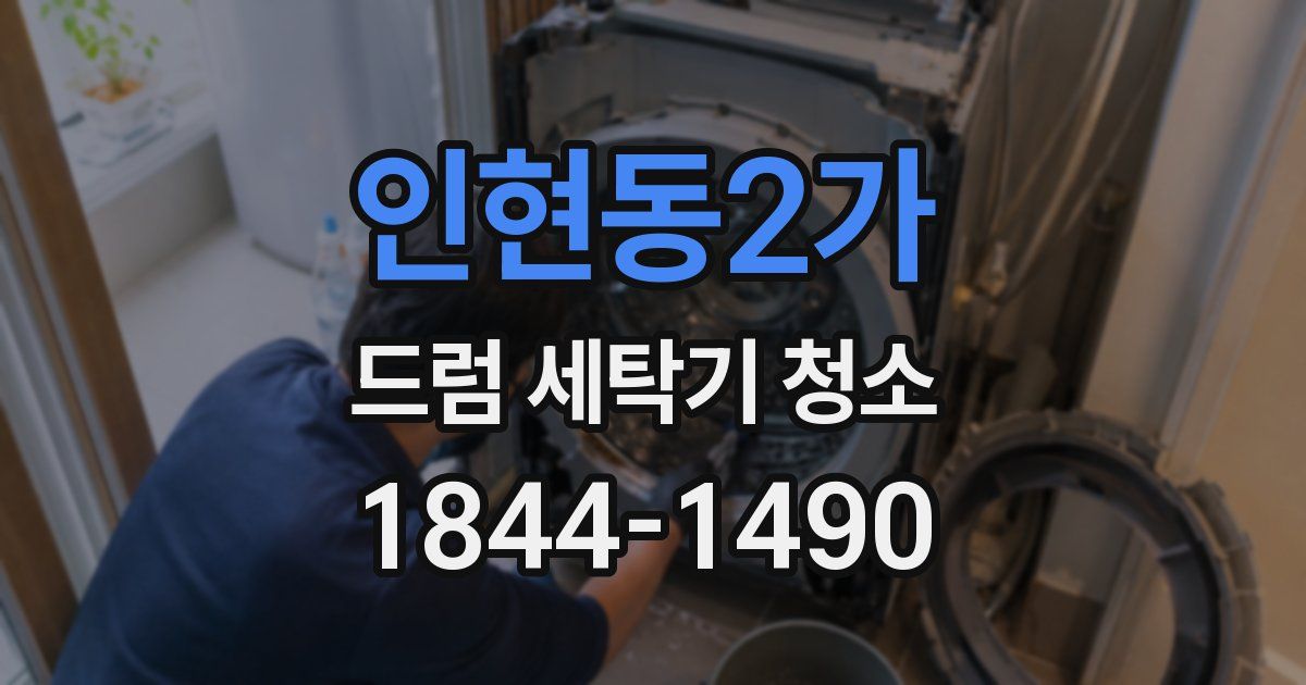 인현동2가 드럼 세탁기 청소