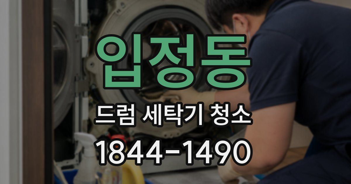 입정동 드럼 세탁기 청소