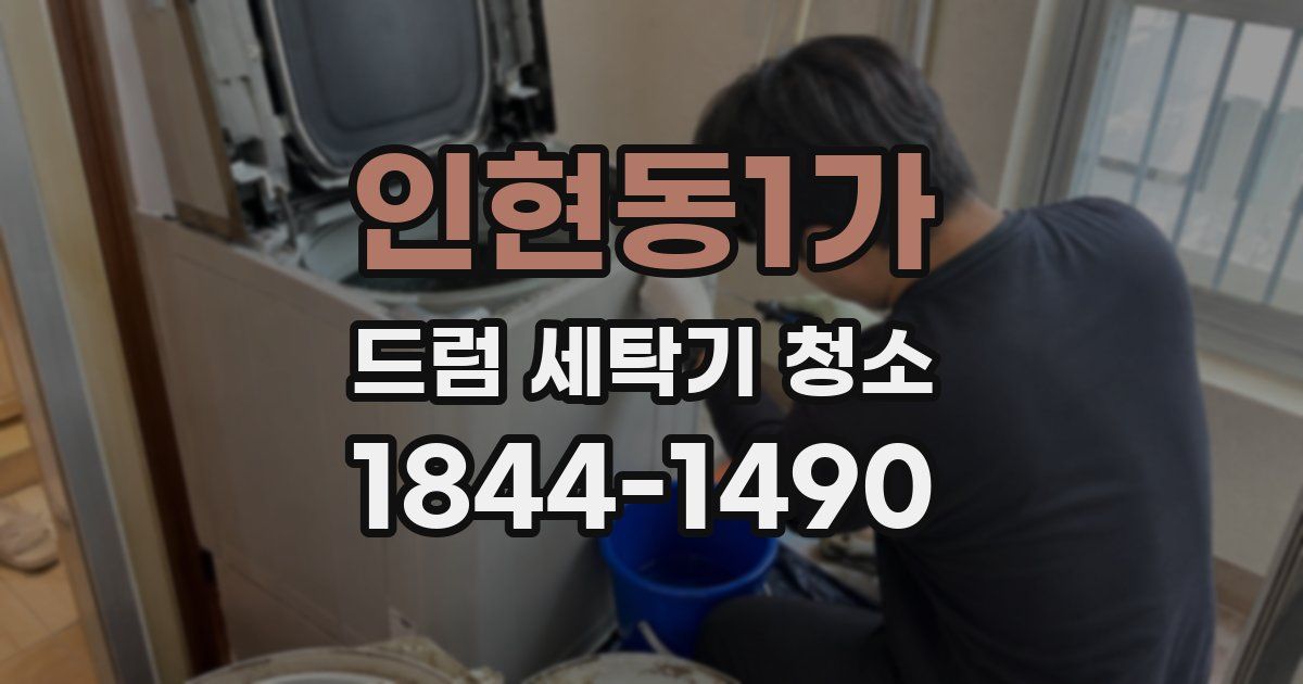 인현동1가 드럼 세탁기 청소