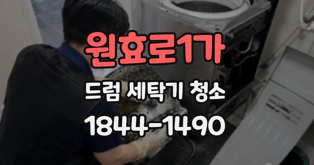 원효로1가 드럼 세탁기 청소