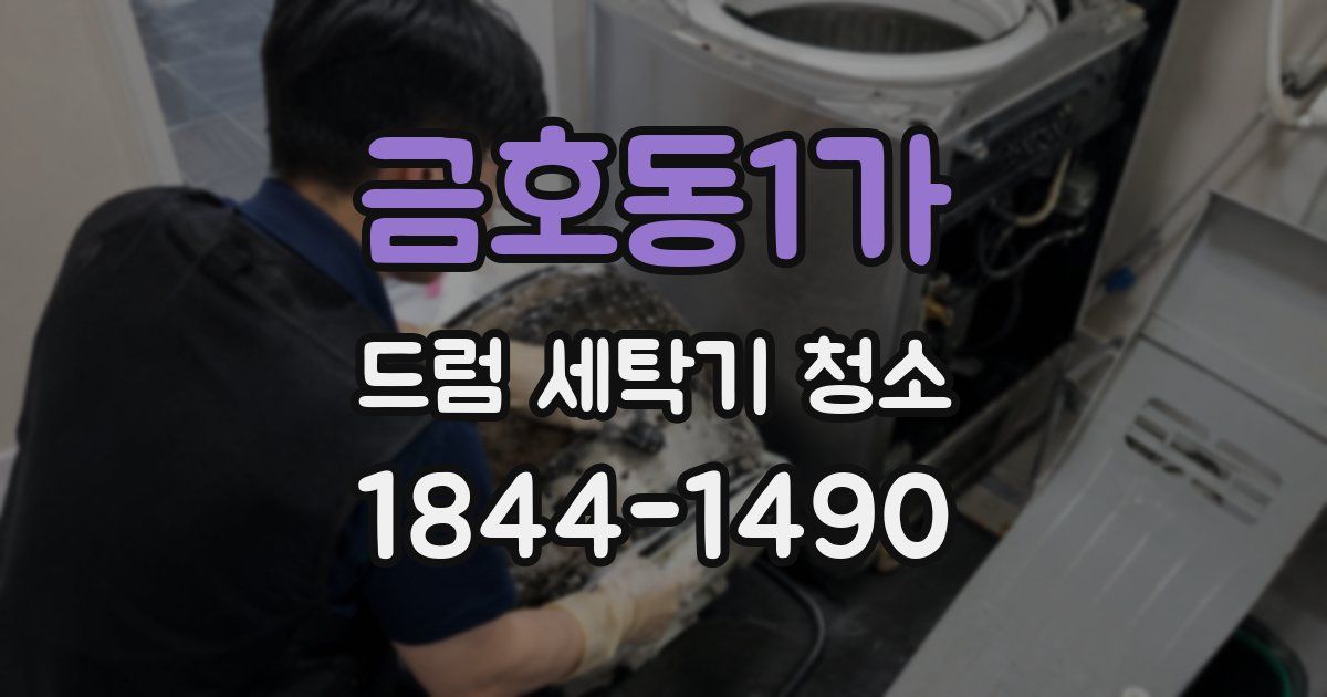 금호동1가 드럼 세탁기 청소